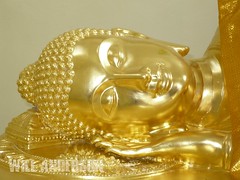 Head of the Reclining Buddha - Tung Talad Park - Nakhon Si Thammarat - THAILAND