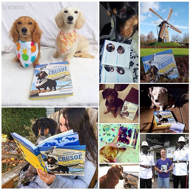 A few happy fans with their new #crusoebook ! So awesome to see all the wonderful feedback!