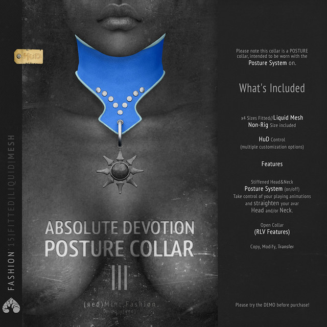 (r)M, Absolute Devotion - Posture Collar(o.03)