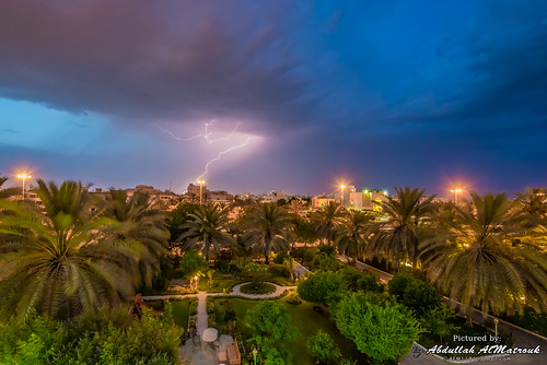 lighting sky tree rain lights palm kuwait thunder kw q8 grean salwa hawallygovernorate afm1181