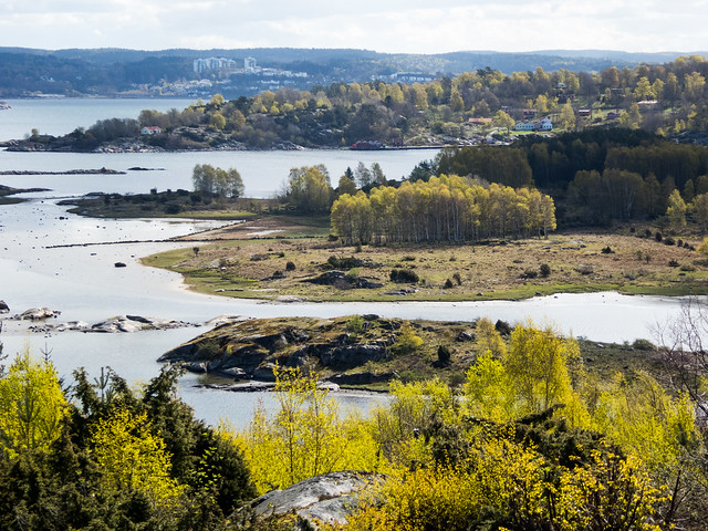 Leafing in the archipelago