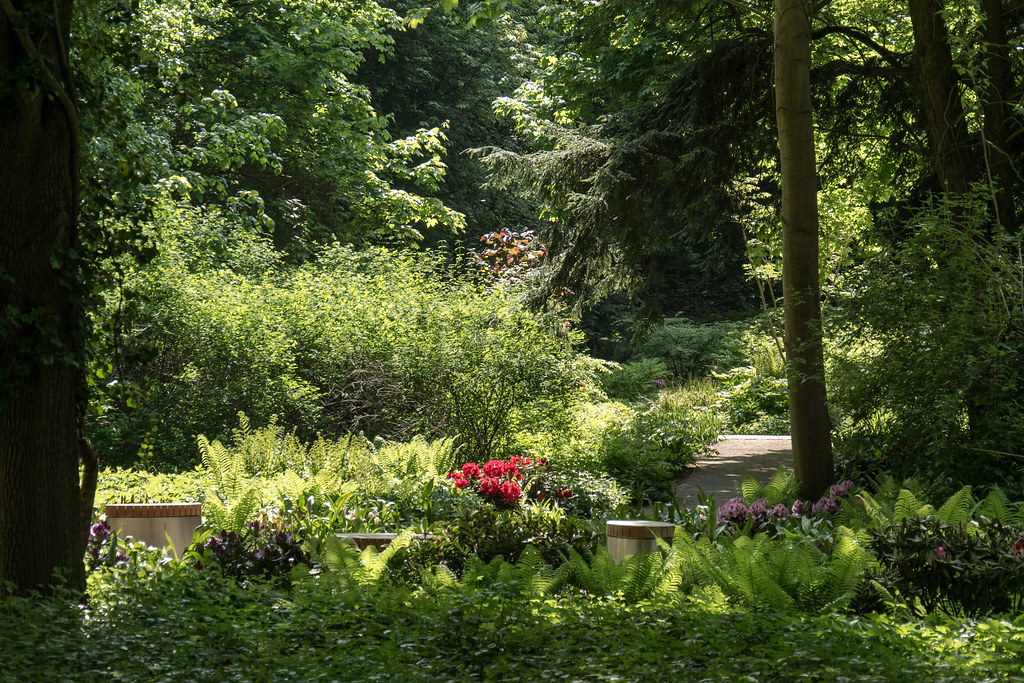 Bundesgartenschau 2015, Rathenow, Weinberg: Sonneninsel im Rhododendrontal