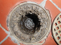 the inside of a floor drain with the cover removed showing accumulated organic material