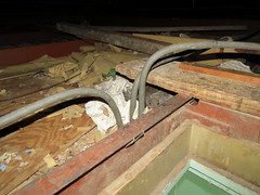 photo of cluttered attic with a gray squirrel looking out from under a board