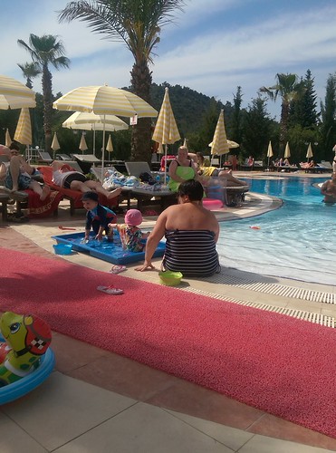 New photo added to gallery | by sibv