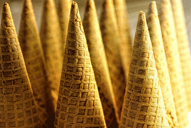 The Cones of Summer