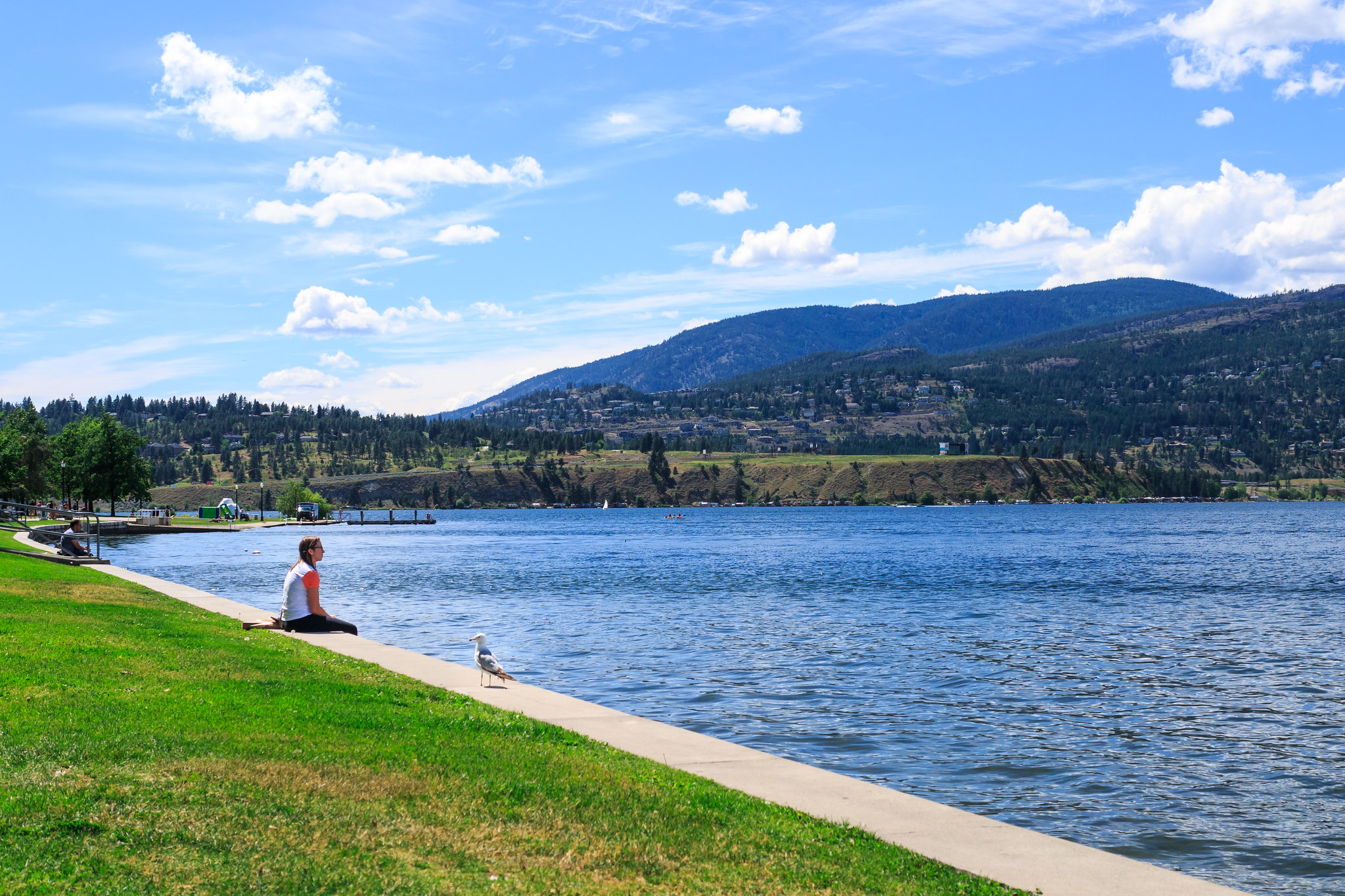 Okanagan Lake City Park