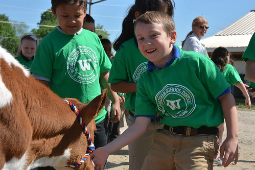 Jaiyel Griffith (left) and James Boyer (right) experience the joys and texturs of feed a young calf