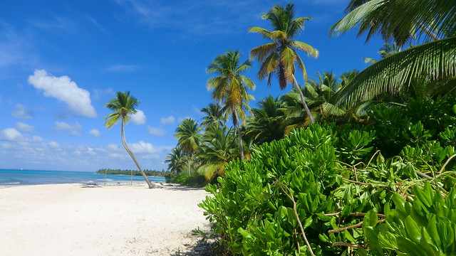 Dominican-Republic - Island of Saona - dream beach!