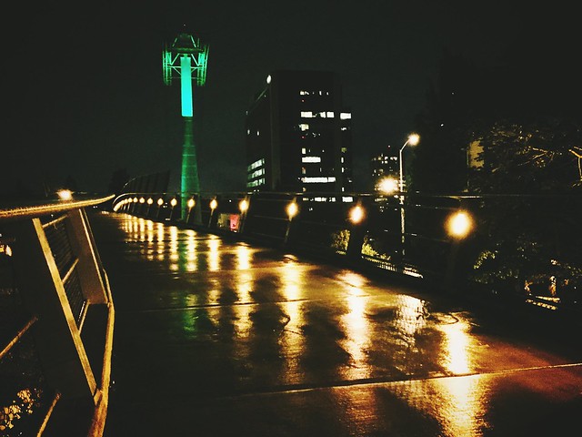Rainy Night, Gibbs Street Pedestrian Bridge