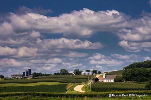 illinois corn clouds farms road blue sky sony a580