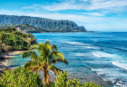 seascape beach landscape hawaii palm pacificocean kauai condominium balihai princeville palikekua mountmakana