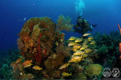 turks and caicos