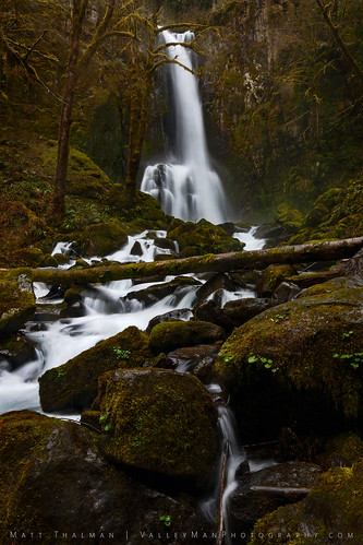 green wet water oregon landscape waterfall rocks falls nationalforest lush siuslawnationalforest kentuckyfalls lowerkentuckyfalls