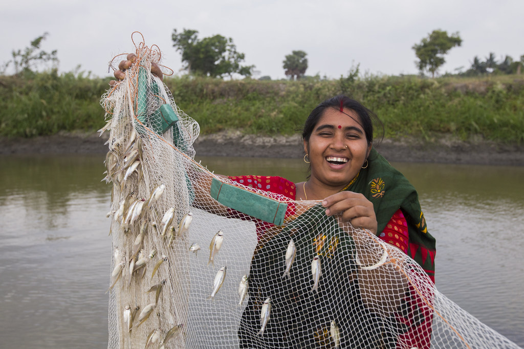 A woman with fish caught using gill net in Bangladesh. Pho…