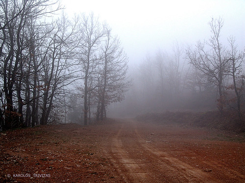 wood mist fog forest mood path foggy atmosphere greece soil dirt arcadia dirtyroad peloponnese vourvoura