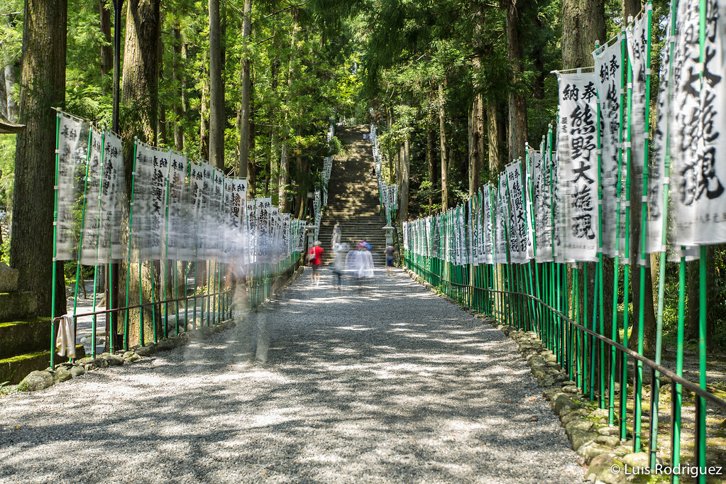 Te damos ideas de rutas e itinerarios por Jap&oacute;n