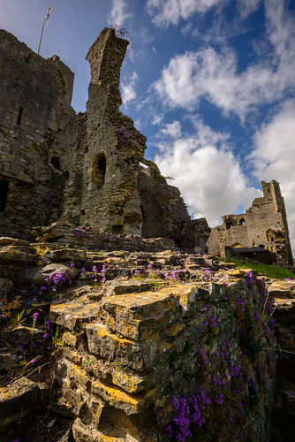 england castle ancient ruins ruin medieval wildflowers northyorkshire richardiii kingrichardiii englishheritage middleham middlehamcastle nikond800