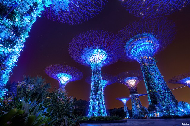 Singapore - Supertrees Grove at Gardens by the Bay