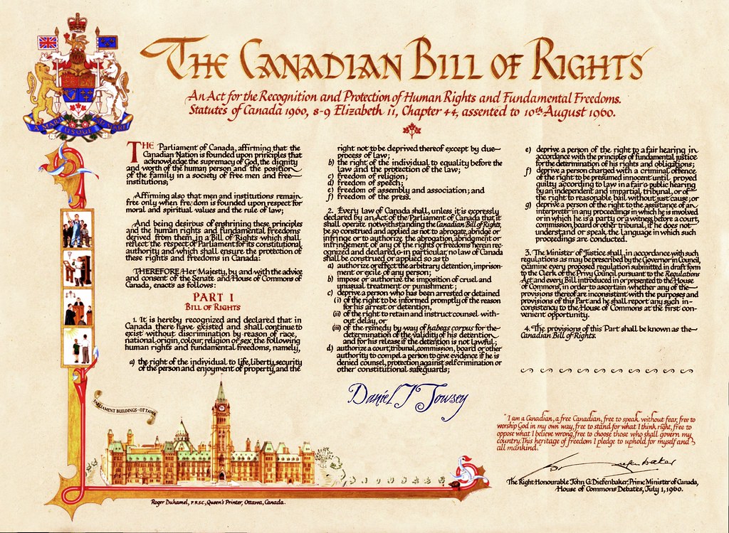 The bill of rights essay