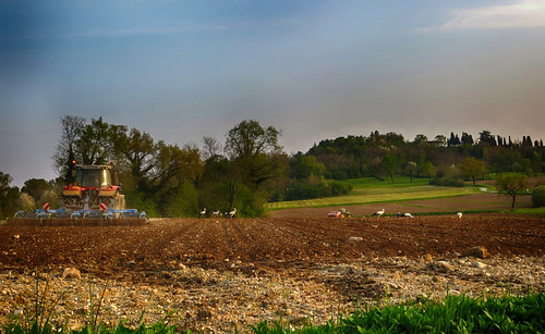IMG_8818 countryside with storks by pinktigger, italy tractor field countryside italia country plowing storks fagagna cicogne friul aratura feagne