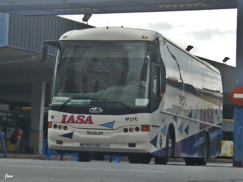 Ovi Versatile Daf - Iasa | by Bus Box