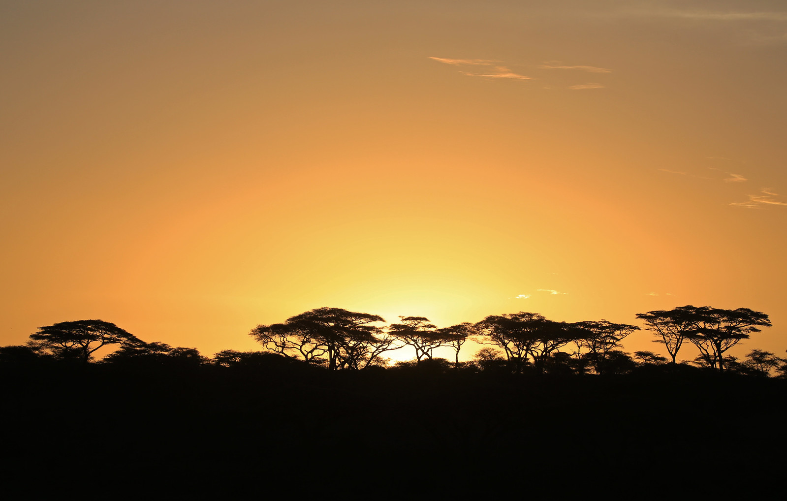 Serengeti-sunrise