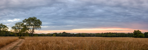 20160724-DSC_9559-Pano | by the Mack4