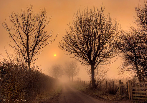 uk trees england mist colour nature sunrise dawn march spring nikon scenery glow northamptonshire earlymorning countrylane hdr newton 2014 hedgerows grangeroad d80 geddington