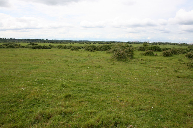 Scrubland near Hythe