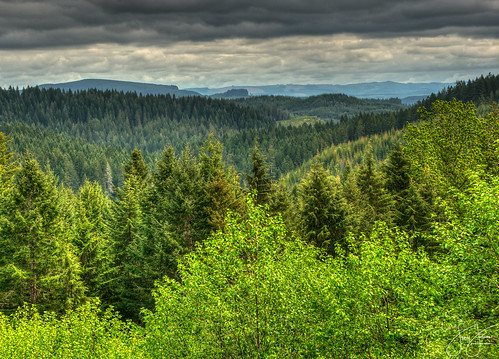county oregon forest tillamook scenic overlook viewpoint hdr