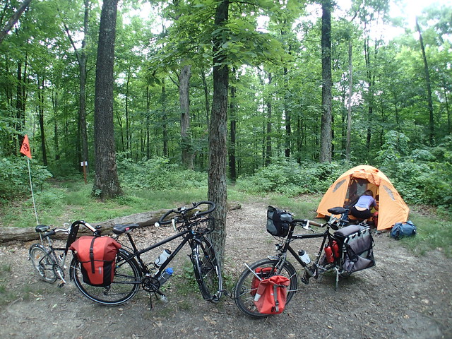Family cargo bike camping in the Charles Deam Wilderness