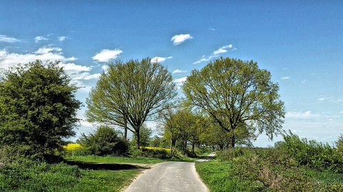 Springday | by grieswald@ymail.com