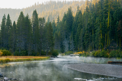 california usa water fog pine forest sunrise river logs laketahoe sierranevada morningmist pineforest truckeeriver