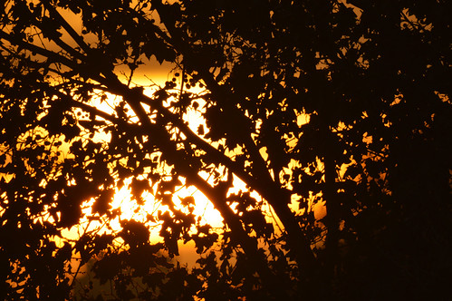 DSC_2610