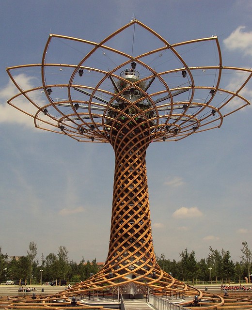 L'albero della vita -  The tree of life - EXPO Milano 2015