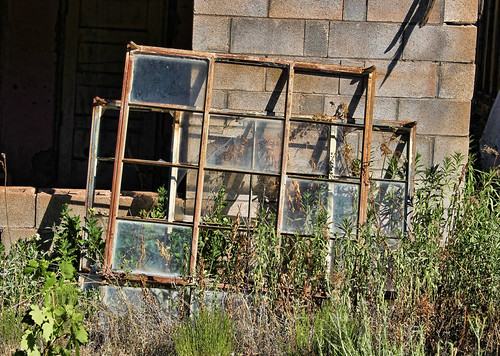 Replacement Windows? | by Helen Orozco