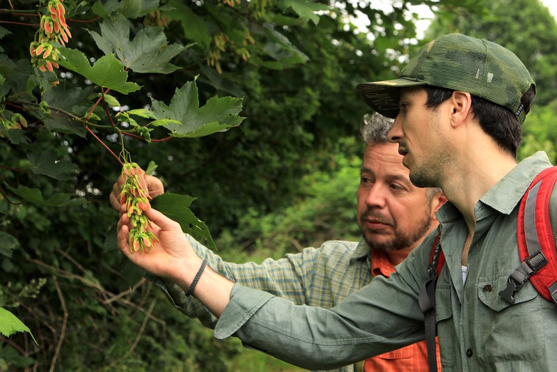 Acorn Spring Foraging | Flickr