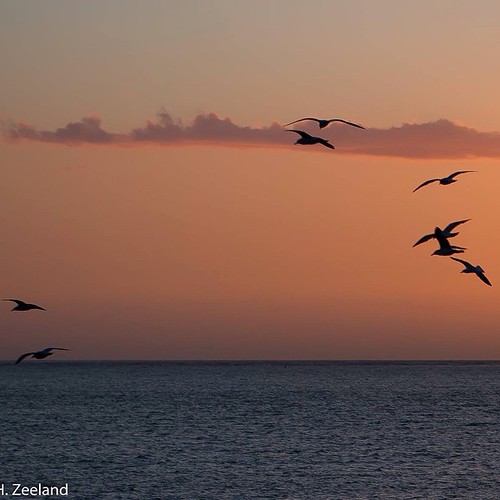 Sunset in Zeeland #love  #tweegram #photooftheday #20likes #amazing @InstaTagIos @InstaTagIos #InstaTagIos #followme #follow4follow #like4like #look #instalike #igers #picoftheday #food #instadaily #IF #like #girl #instagood #bestoftheday #instacool @Inst | by @havenlust