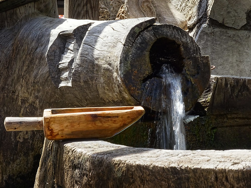 wood water wooden running freshwater kırkpınar