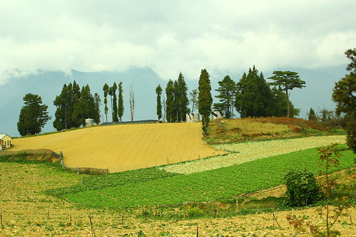 圖06福壽山農場遼闊的農作場