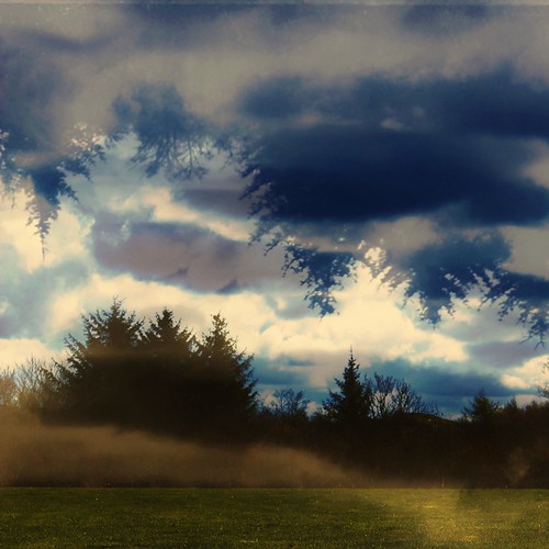 trees sky clouds square landscape photography photo artistic edited memories lawn gimp before double adventure squareformat memory mind dreams reality mirrored after layers beforeandafter scape squared edit expectations mindscape