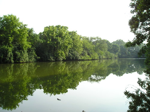 Along the water | by THX0477