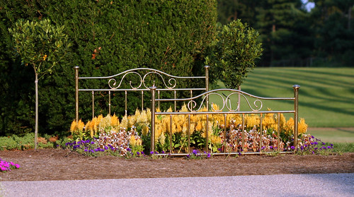 flowers flower landscape bed lexington kentucky arboretum