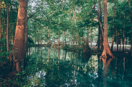 morning camping wild summer mist nature water landscape spring florida outdoor americanbeauty northflorida ginniesprings gilchristcounty vsco springhunters