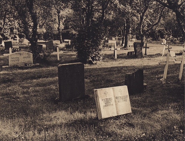 Cemetery in Reykjavik