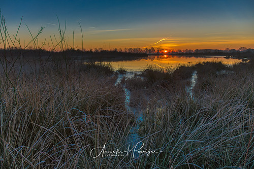 dwingelderveld zonsopkomst ijs sunrise vorstig zonnig hdr drenthe natuur natuumonumenten natuurgebied nederland