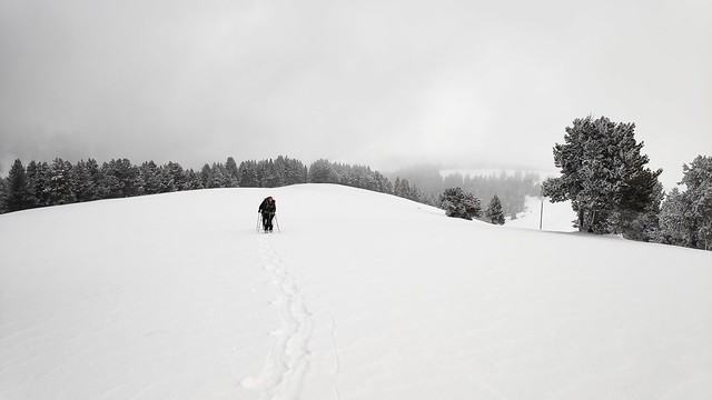 IMG_20190202_130924