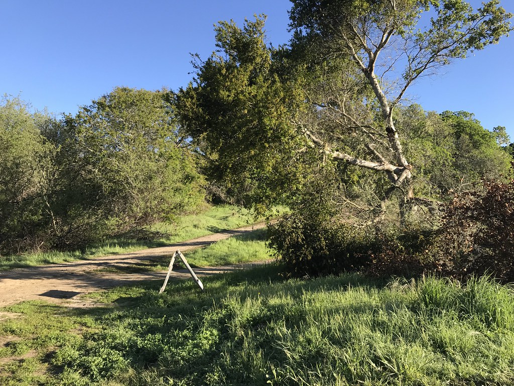 Ridge Loop