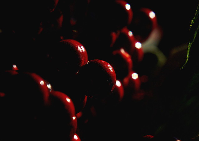 Dark Christmas Cranberries